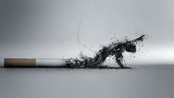 thuốc lá có hại cho sức khỏe răng miệng